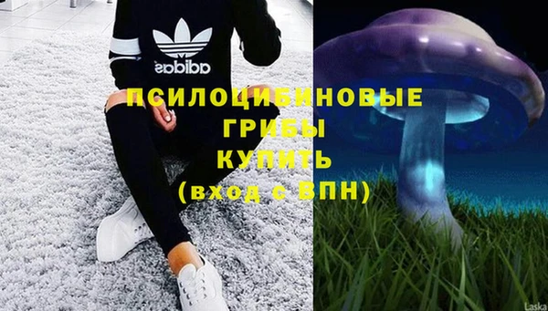 винт Арсеньев